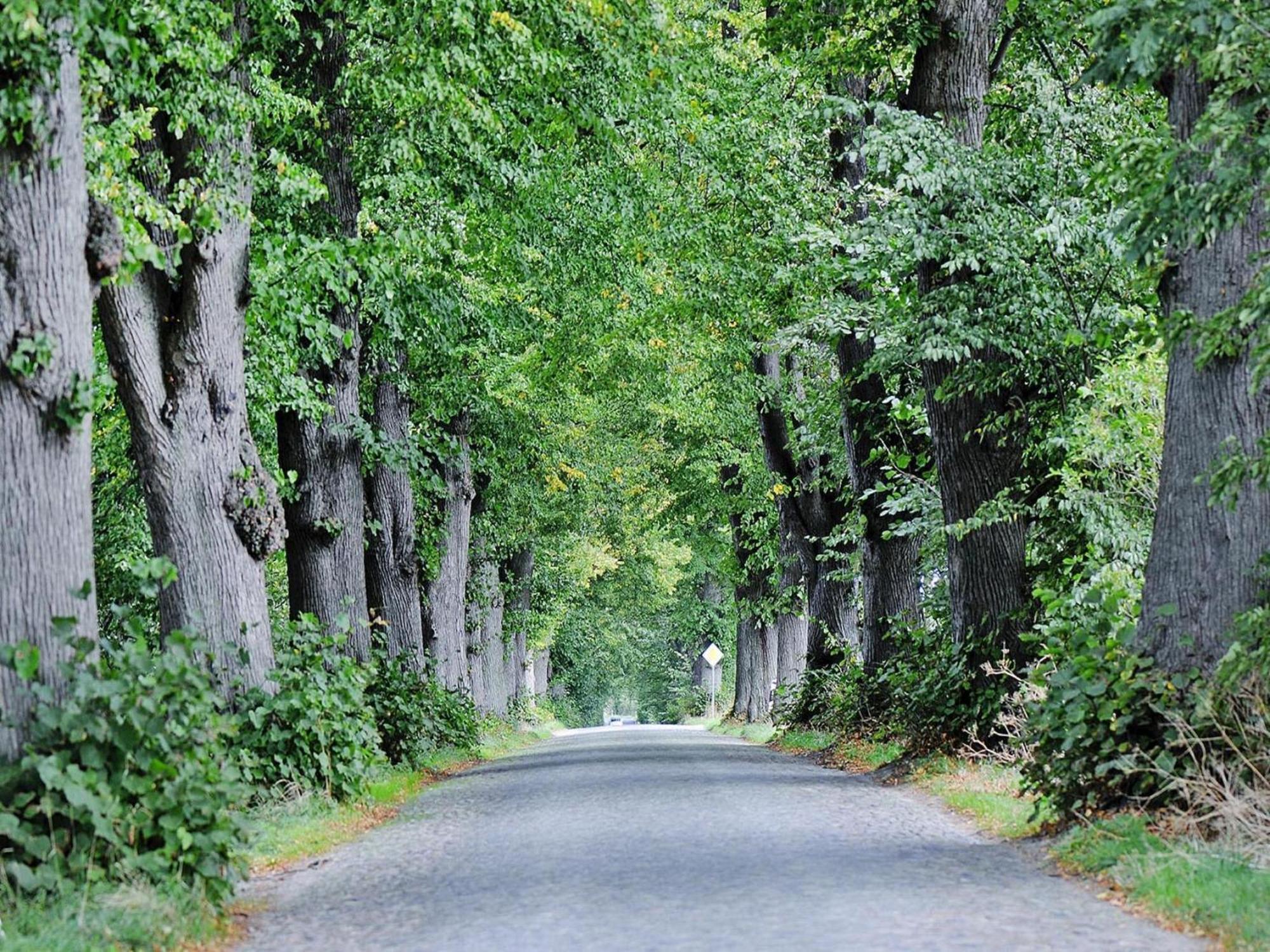 Вилла Gutshaus Zicker In Garz Garz  Экстерьер фото
